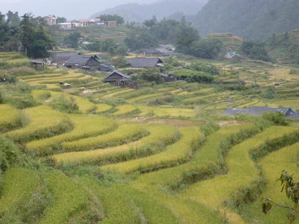 Sapa Dao Homestay Exterior photo