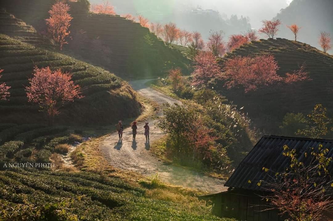 Sapa Dao Homestay Exterior photo